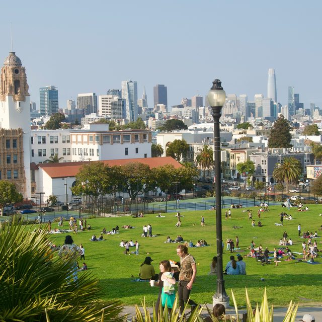 The park and the city skyline